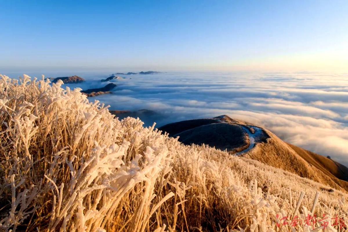 萍鄉(xiāng)武功山：霧凇云海，銀裝素裹